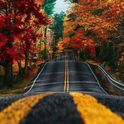 注册就送38的平台下载手机版